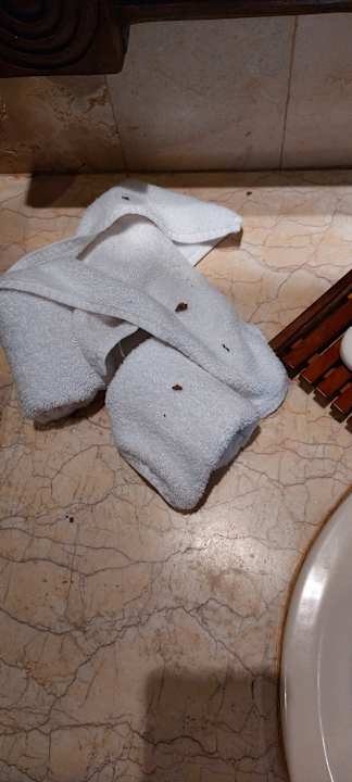 Zimmer The Payogan Villa Resort & Spa