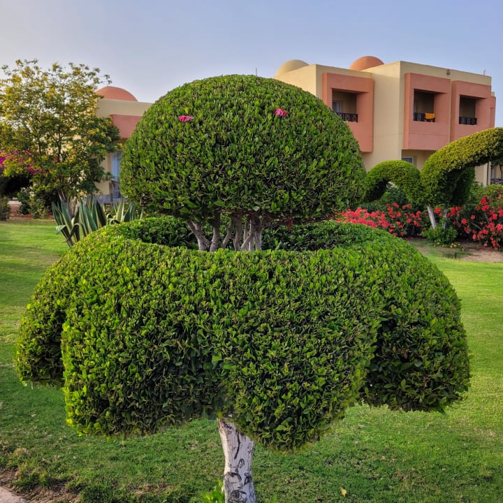 Gartenanlage Wadi Lahmy Azur Resort