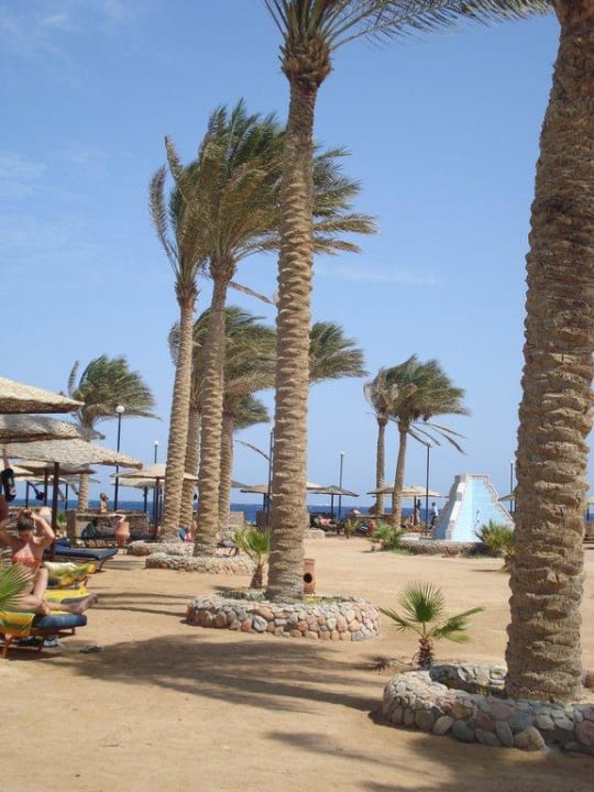 Landzunge am Arabia Azur Bel Air Azur Resort - Adults only
