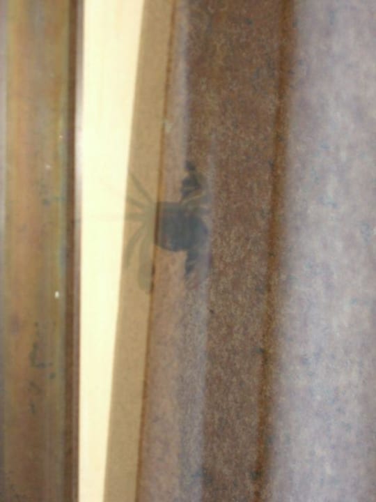 Club Amigo Caracol Kletternde Krabbe Hotel Resonance Blu St Lucia (Caracol)