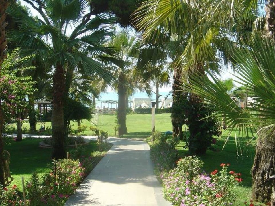 Der Weg zum Strand Papillon Ayscha