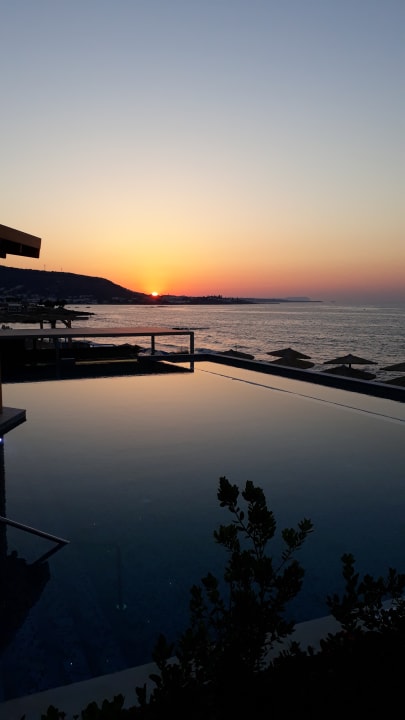 Pool Cactus Mare - Adults only