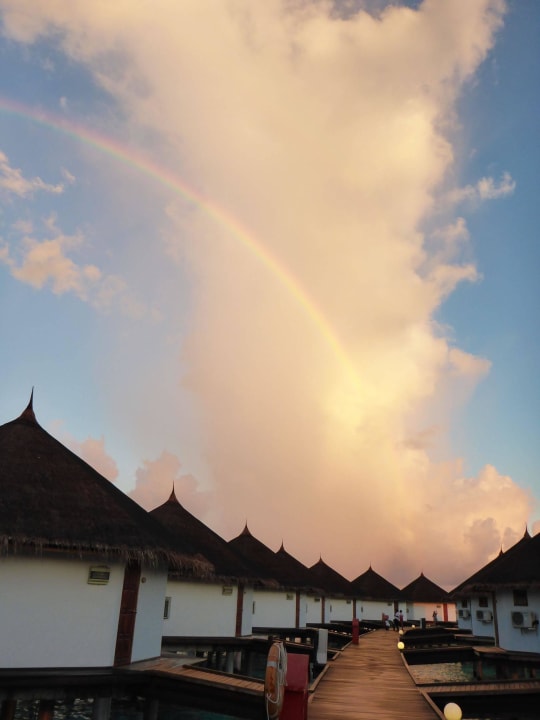 Wasserbungis Safari Island Maldives