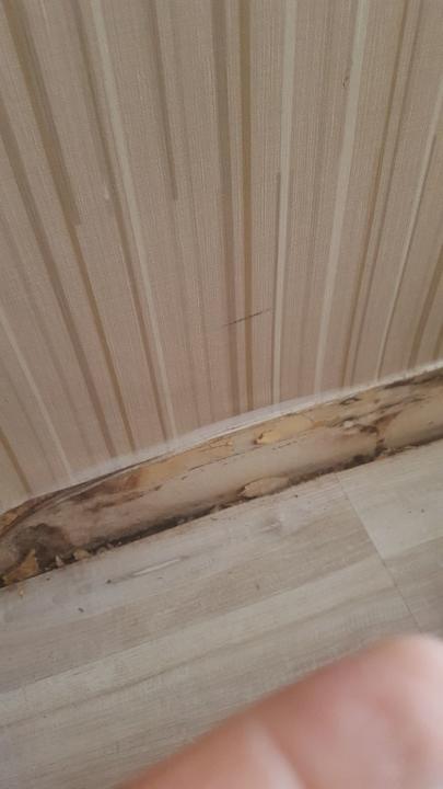 Zimmer Side Miami Beach