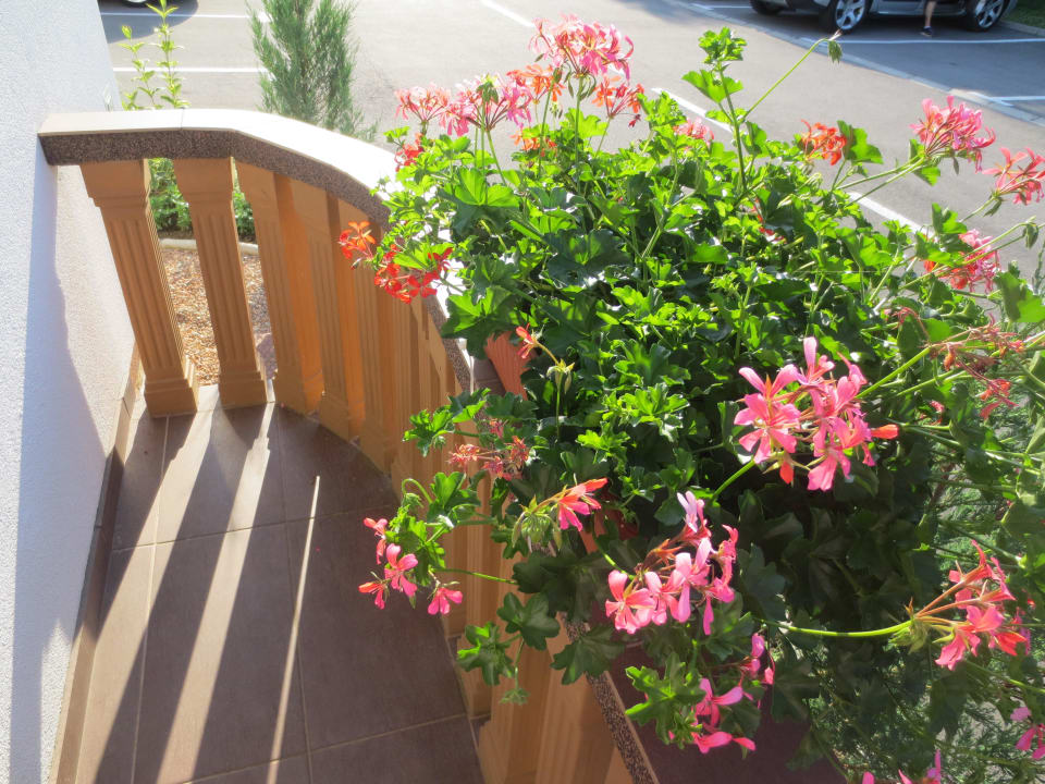 Kleiner Balkon SEDRA Holiday Resort-Adults Only