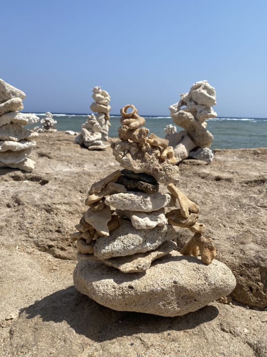 Ausblick Mövenpick Resort El Quseir