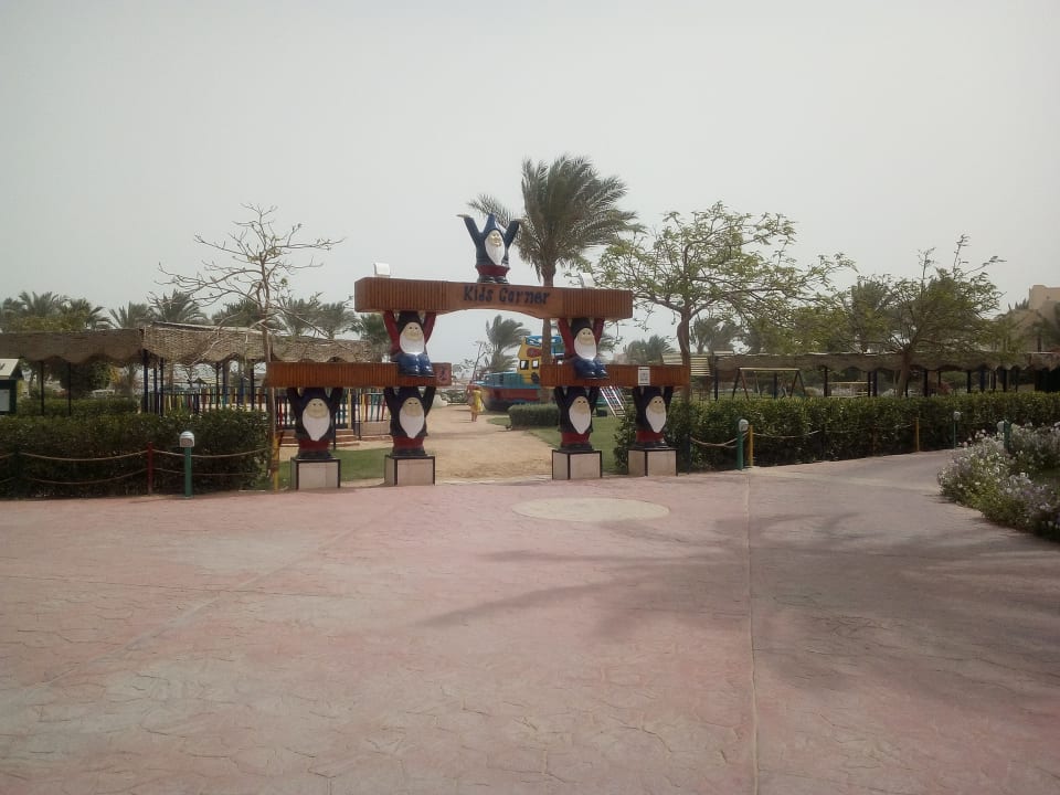 Sonstiges Desert Rose