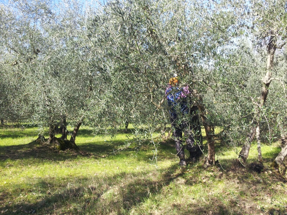 Gartenanlage A Casa di Lizzy B&B