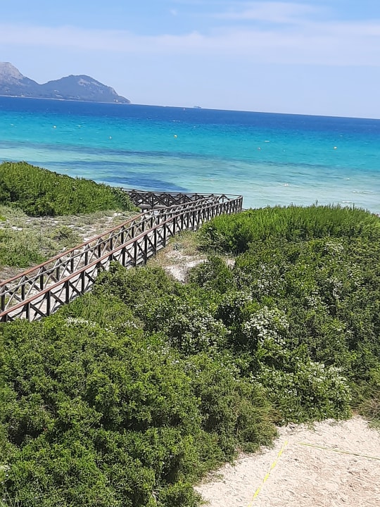 Strand allsun Hotel Eden Playa