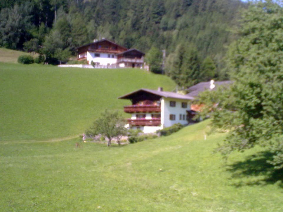 Blick zum Matzenhof  Matzenhof