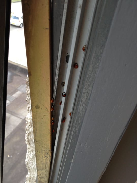 Fenster Bastion Deluxe Hotel Amsterdam / Zaandam-Zuid