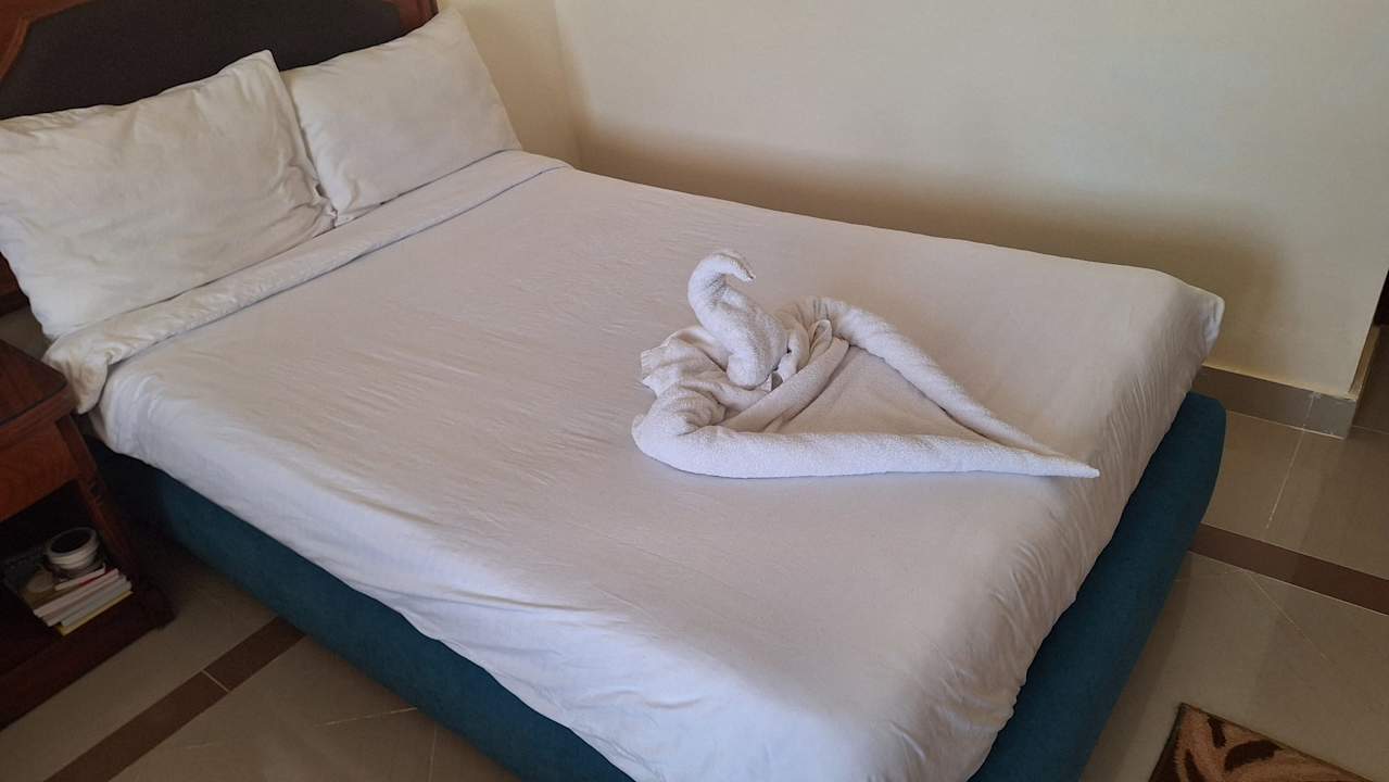 Zimmer Coral Hills Resorts & SPA