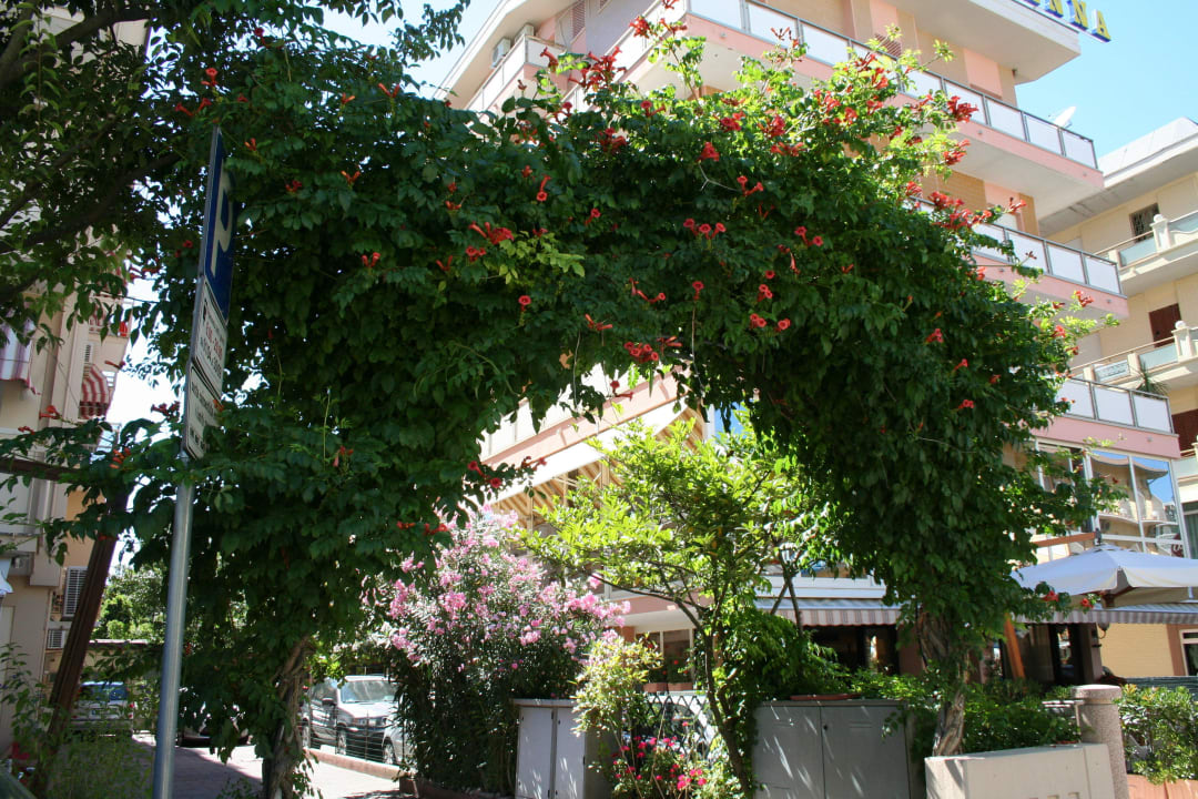 Hotel Madison Cervia Vacanze Urlaub Holiday Hotel Madison
