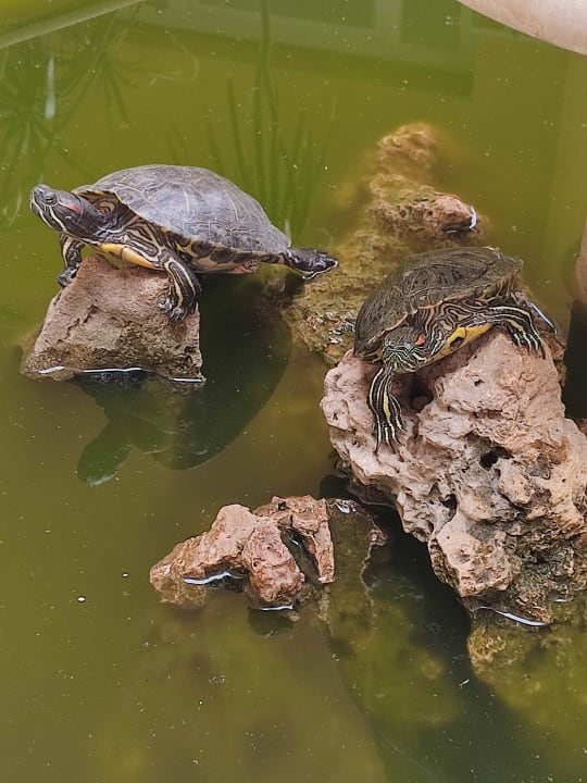 Ausblick Hotel Benna