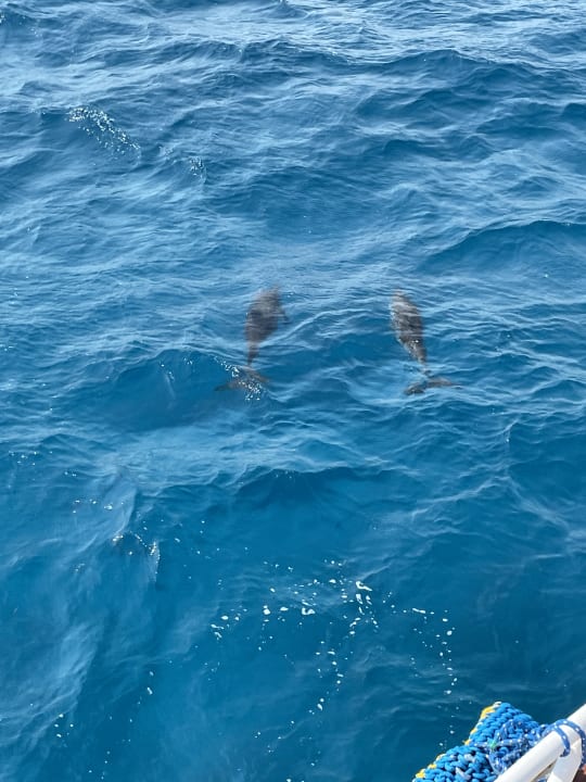 Sonstiges Stella Garden Resort & Spa, Makadi Bay