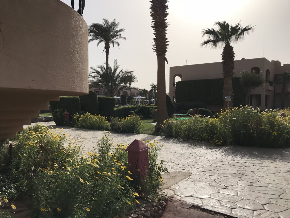 Gartenanlage Aladdin Beach Resort