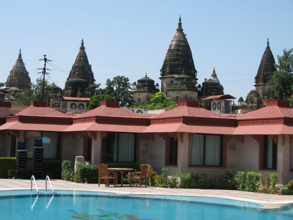 Бассейн Hotel The Orchha Resort