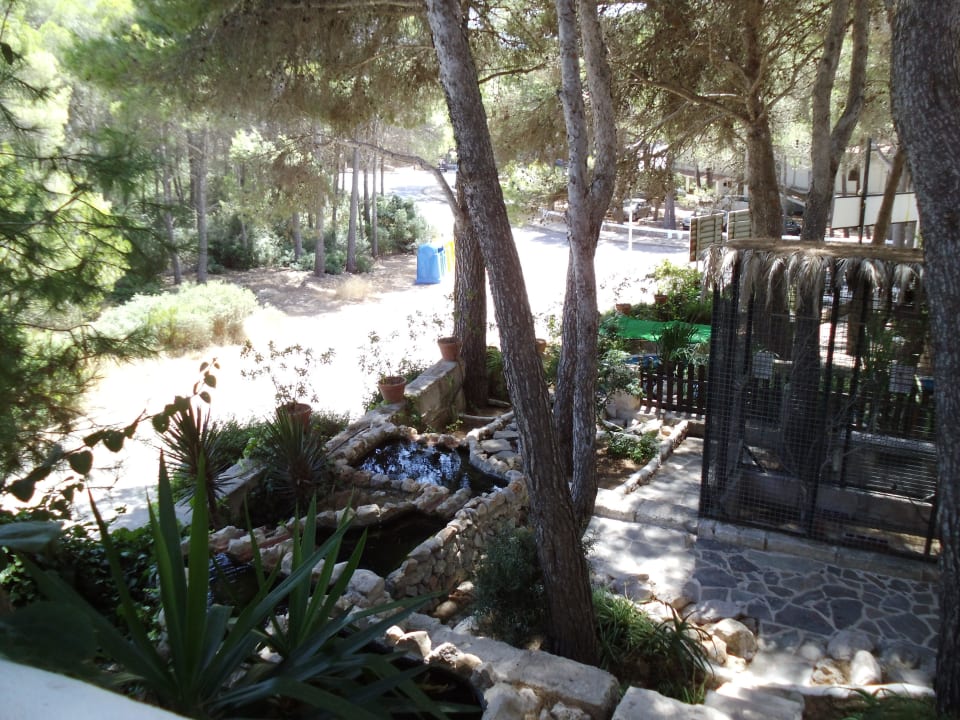 Blick zu den Wasserbecken Playa Parc Apartments