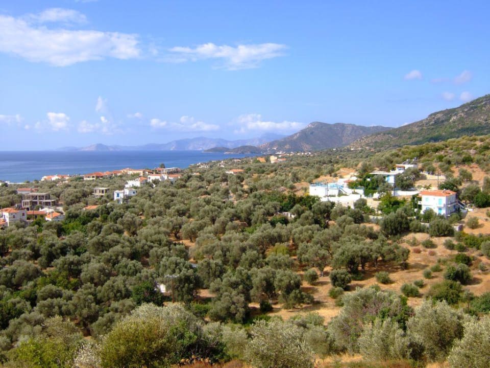 Villa Jota - Votsalakia - Samos Apartments Jota
