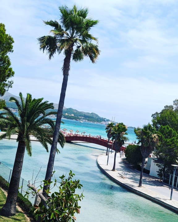 Zimmer allsun App.-Hotel Orquidea Playa