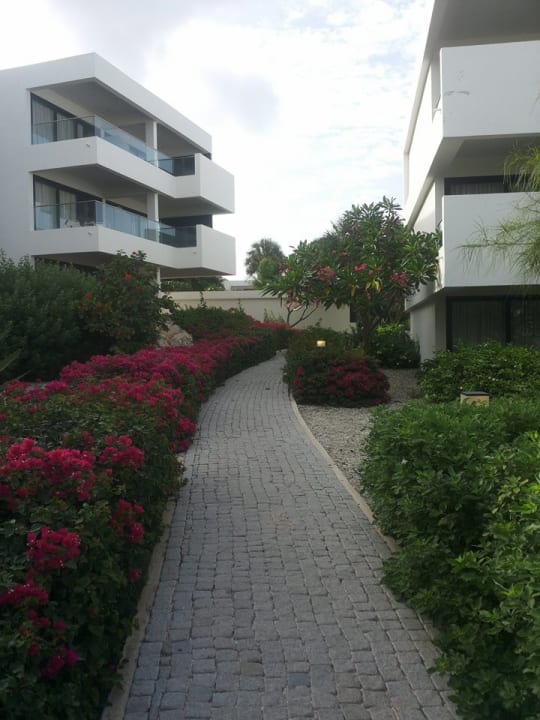 Gartenanlage Papagayo Beach Hotel