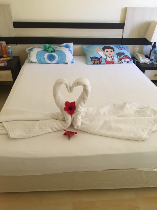 Zimmer Hotel Orfeus Park