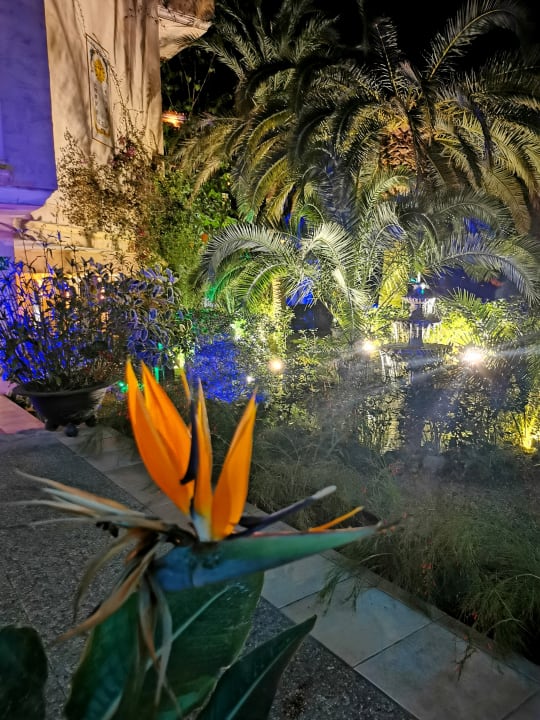 Gartenanlage Lago Garden