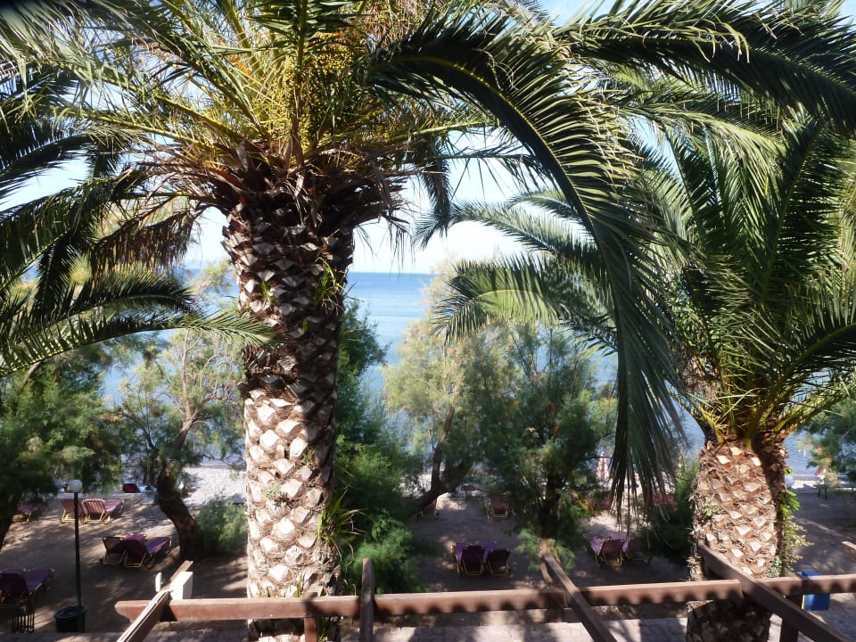 Blick vom Balkon aufs Meer Hotel Molivos 1