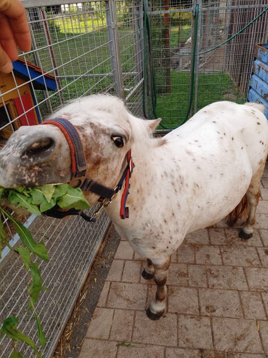 Sport & Freizeit Brühlhof