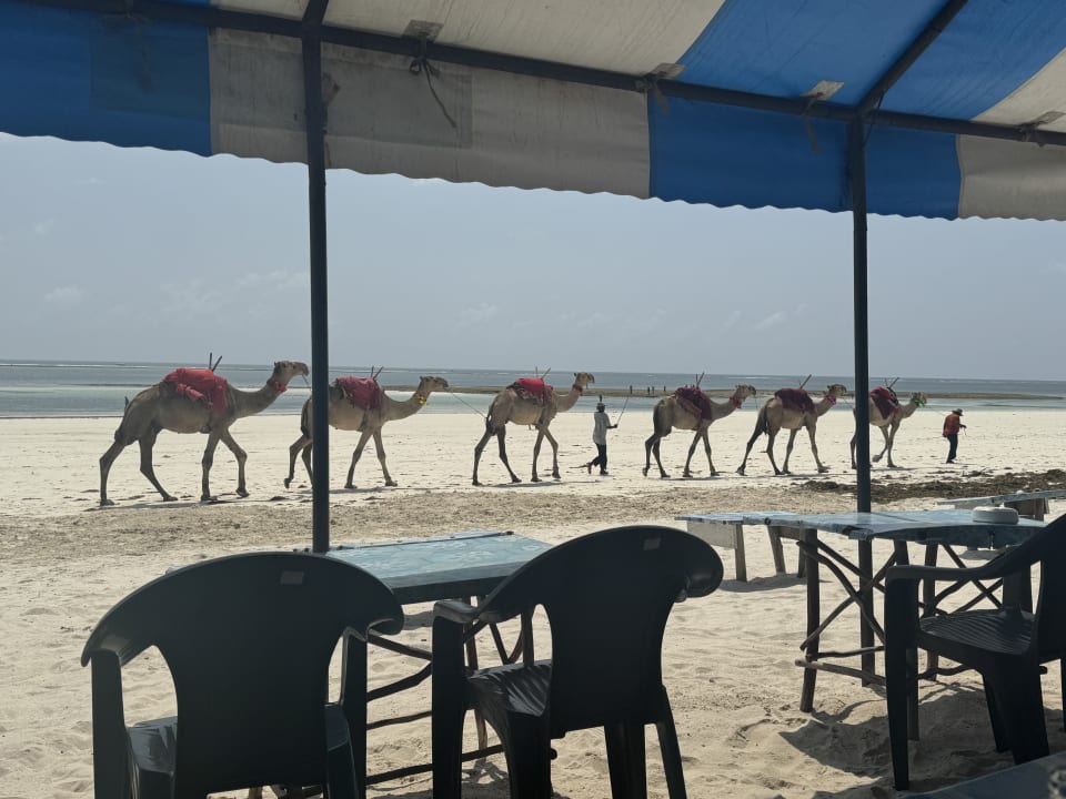 Strand Baobab Beach Resort & Spa