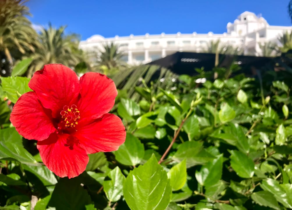 Außenansicht Hotel Riu Palace Maspalomas Adults Only