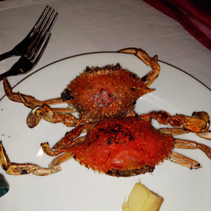 Gastro Menaville Safaga