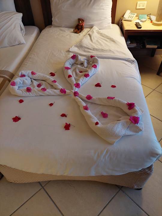 Sonstiges JAZ Dahabeya