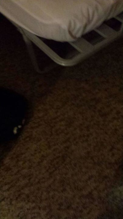 5 Bett Zimmer mit Klappbett AQI Pegasos World