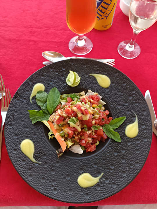 Gastro Tropitel Sahl Hasheesh