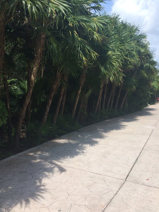 Sonstiges BlueBay Grand Esmeralda