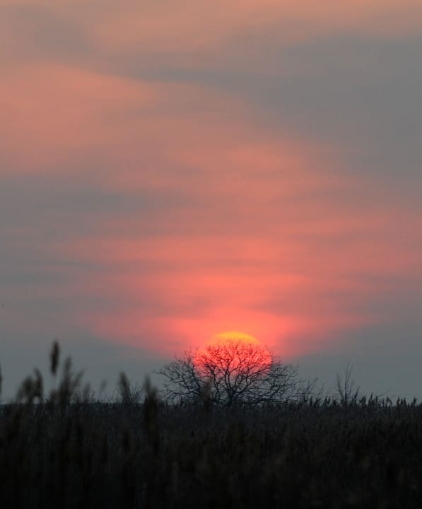 Die richtige Stimmung für ein gutes Glas Wein Weingut & Landhaus Willi Opitz