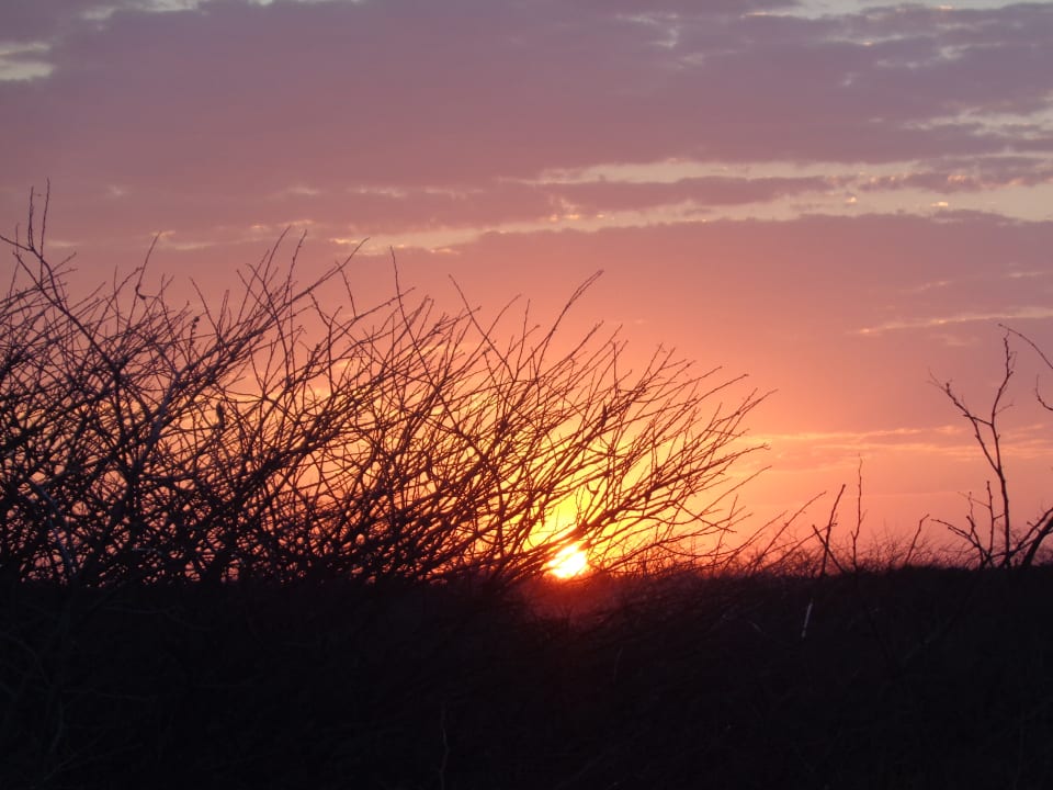 Ausblick Mopane Village Etosha