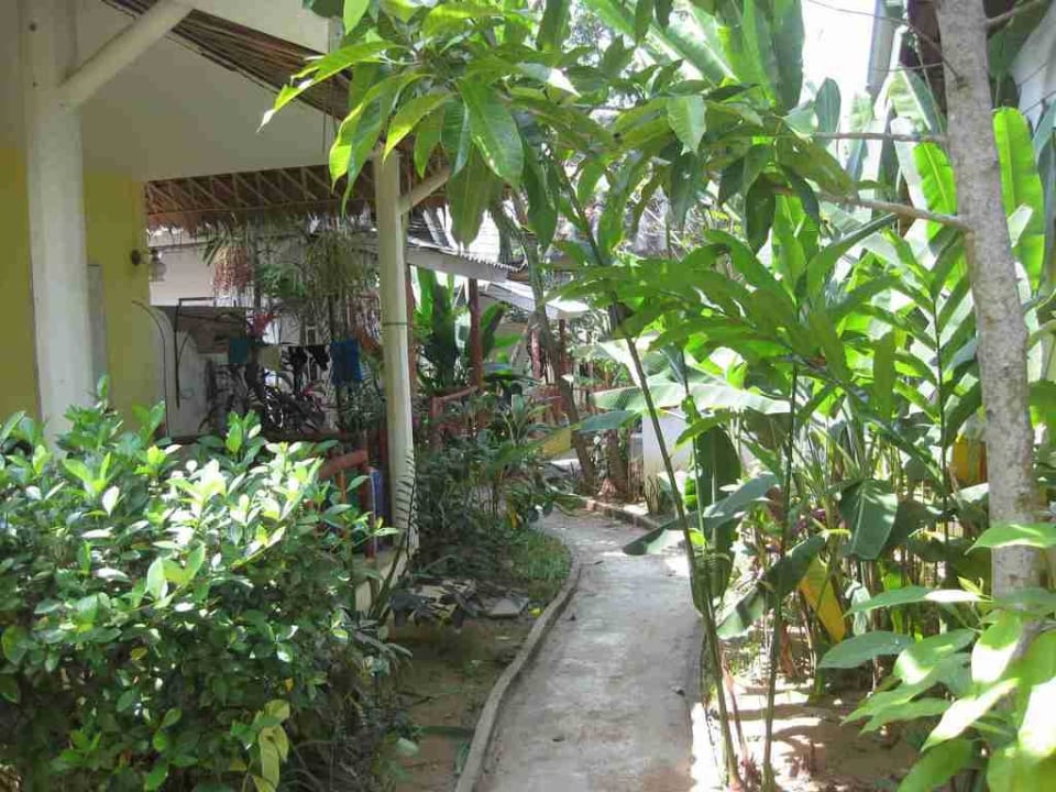 Nachhauseweg Hotel Banana Bungalow