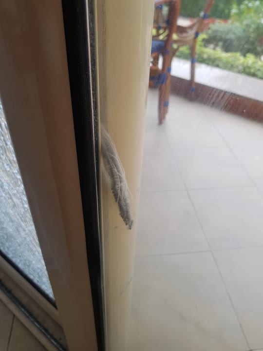 Zimmer Titanic Beach Spa & Aqua Park