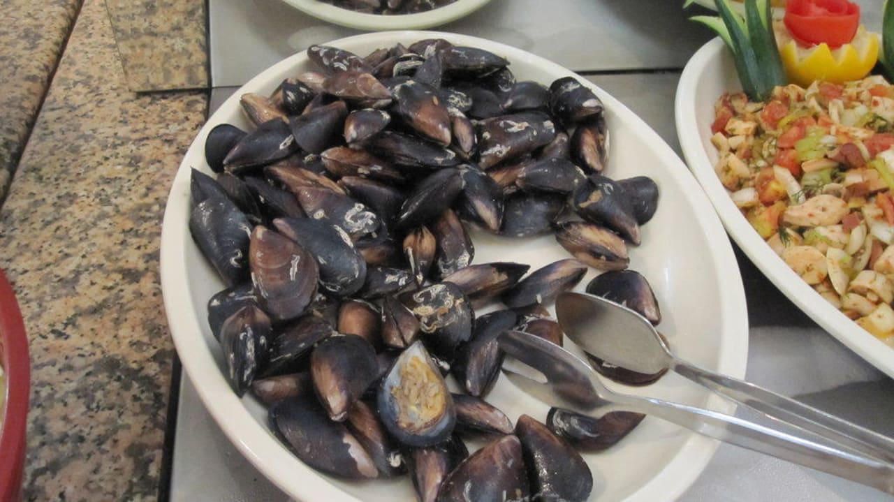 Frische gefüllte Muscheln Club Tuana Fethiye