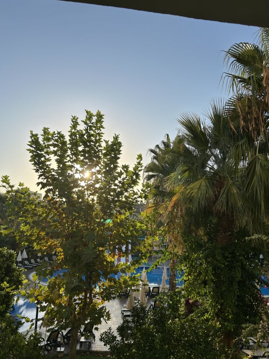 Ausblick Hotel Gardenia Beach