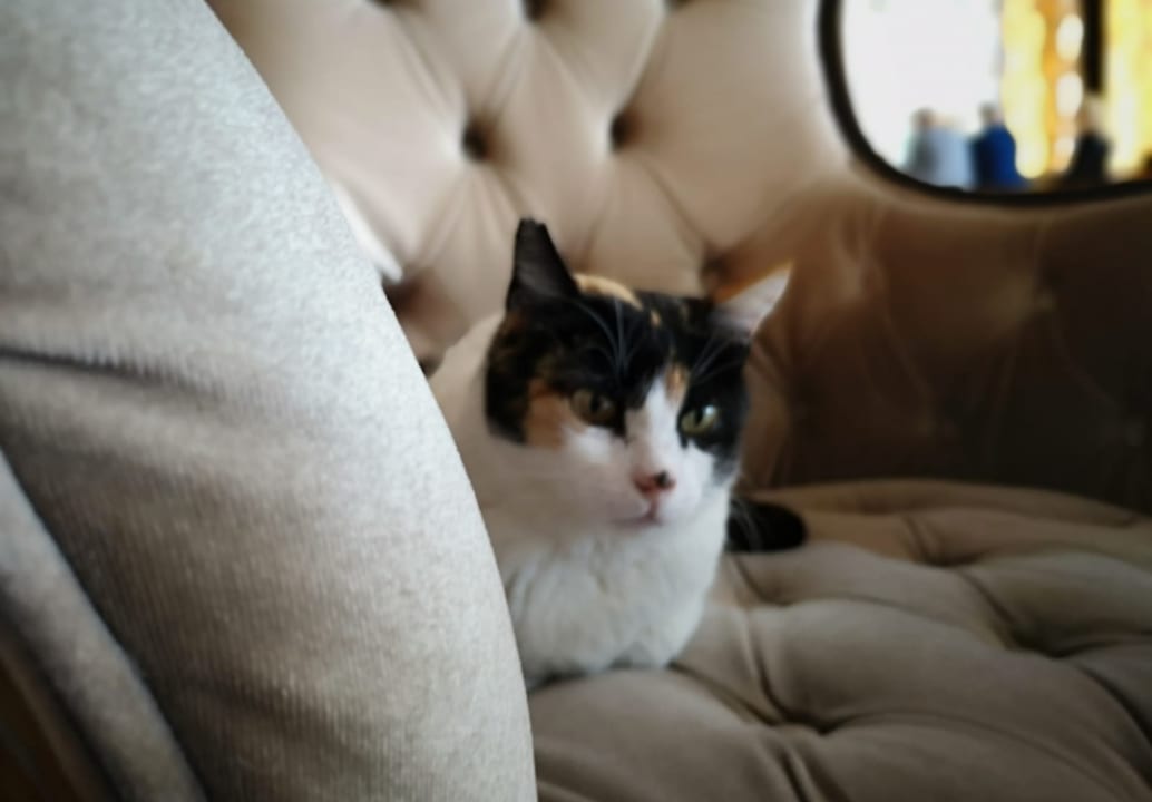 Sonstiges Castival Hotel