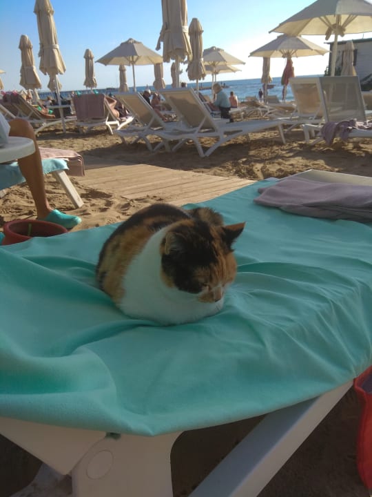 Strand Seaden Quality Resort & Spa