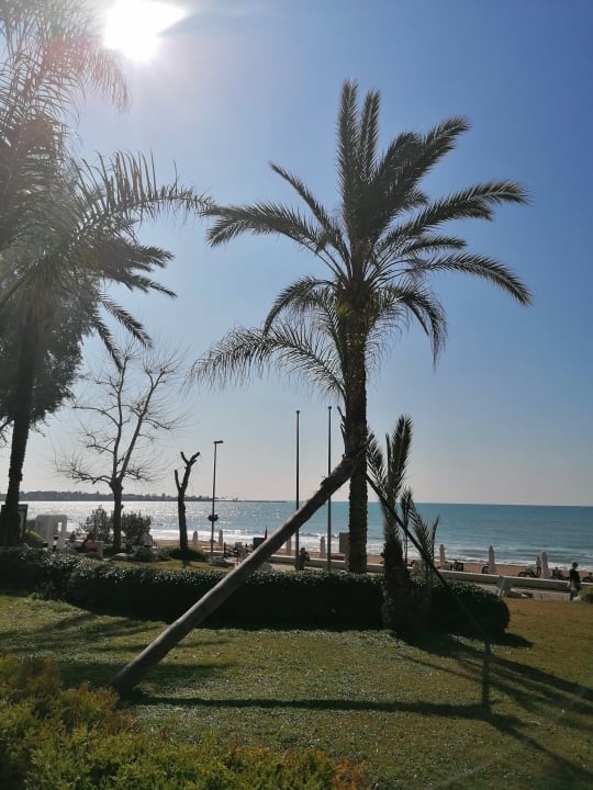 Ausblick Side Star Elegance