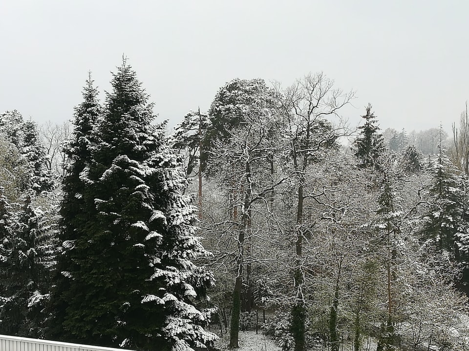 Gartenanlage Wyndham Garden Lahnstein Koblenz Hotel