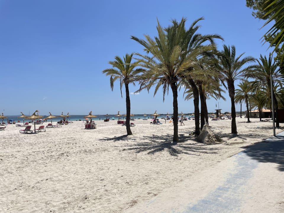Strand Alcudia Garden Aparthotel