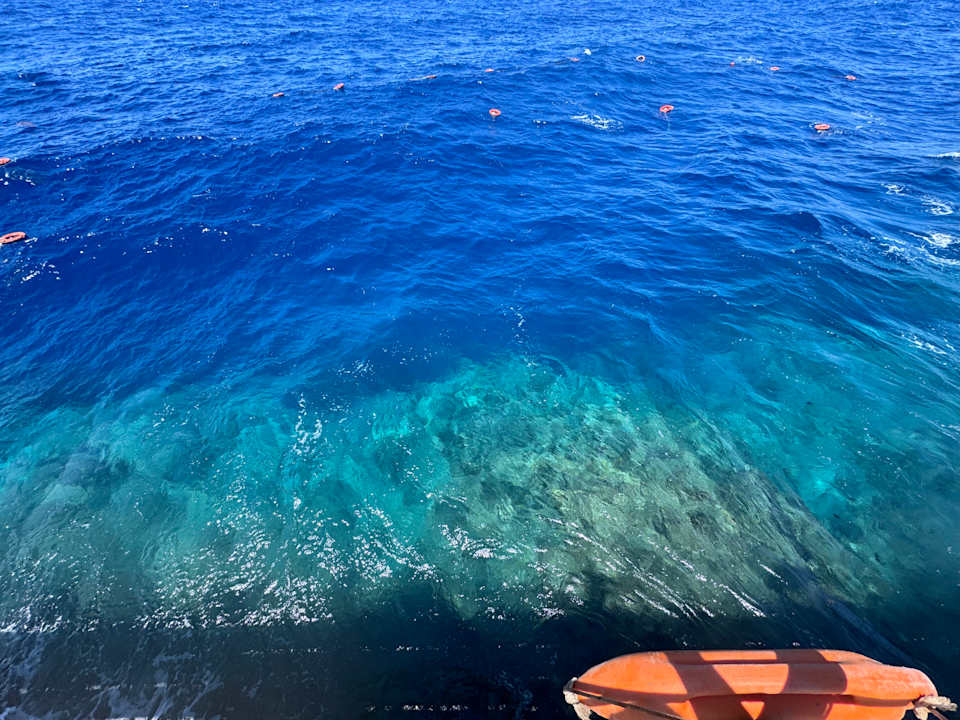 Strand Pickalbatros Sea World Resort - Marsa Alam