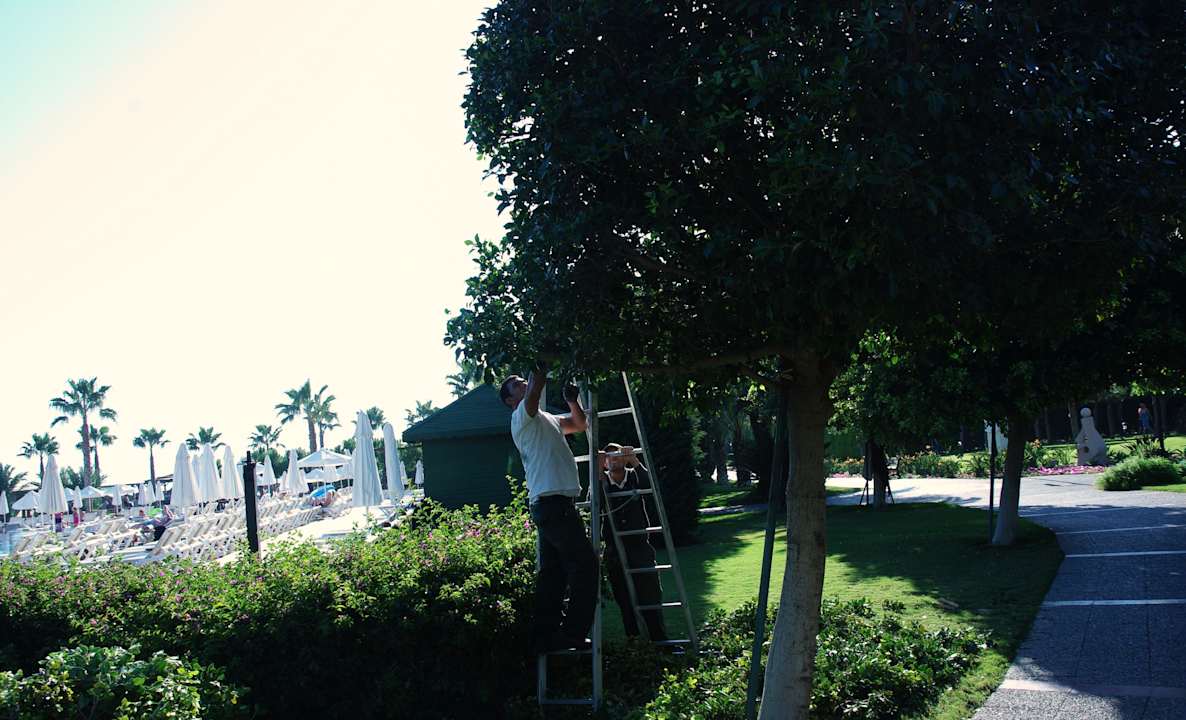 63 Voyage Belek Golf & Spa