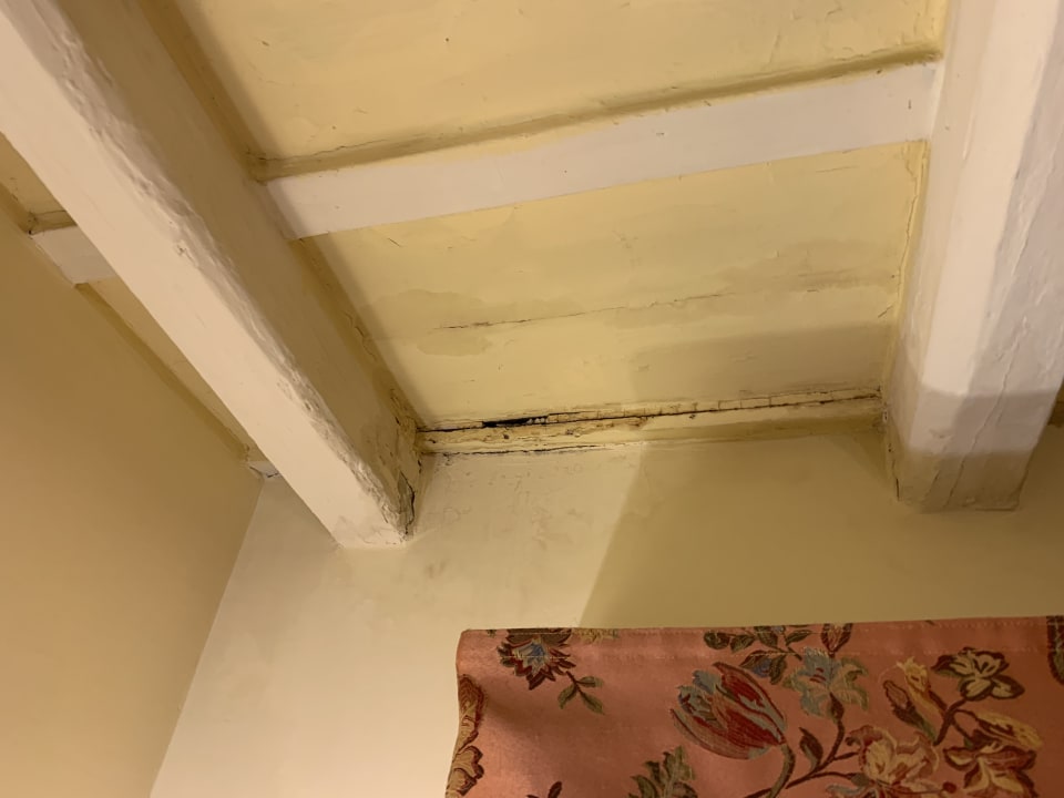 Zimmer Hotel Pantheon Inn